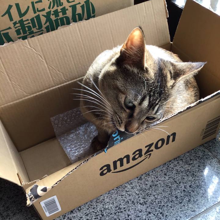 B7636b5f ed87 4b3d a69d b5a81dc2b338 1582767064274