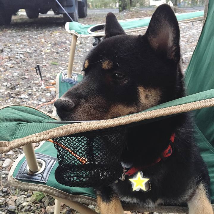 B763a90e 6709 4488 bf90 e7c2f55a79f3 1537873659051