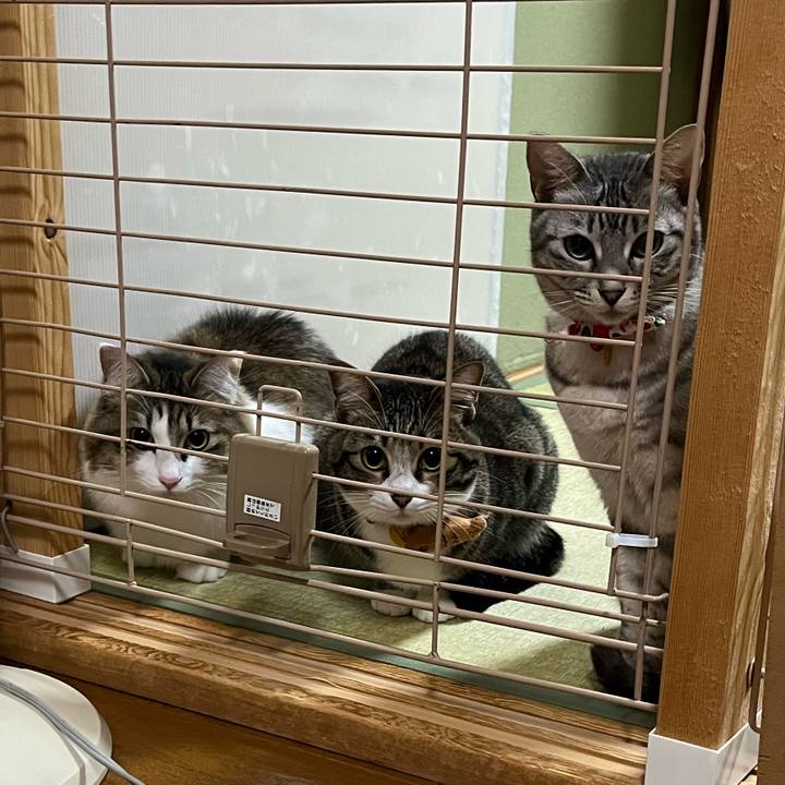 B763c6ed d12e 4ef1 bfed 9104b8d917ac 1766440704761