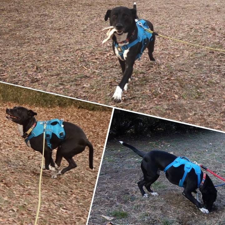 B763e049 a21b 4cd1 8af9 550a9805ced2 1610327154008