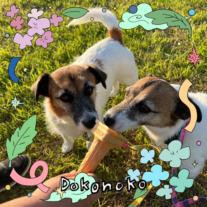 B7640ce5 c04b 4ce0 980f fe211f9c26c2 1717564681601