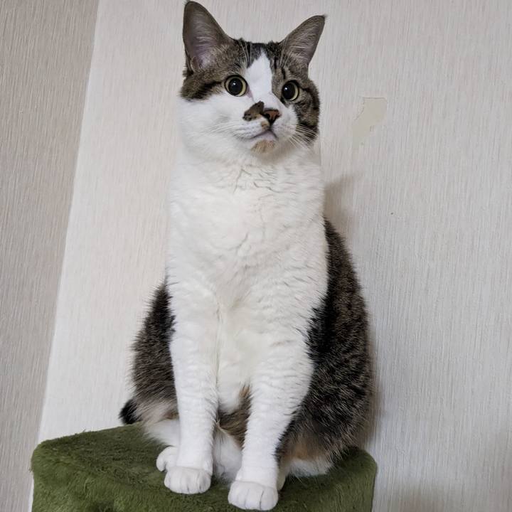 B76411a1 de28 4049 97db 5d685ad05cd3 1699658112906