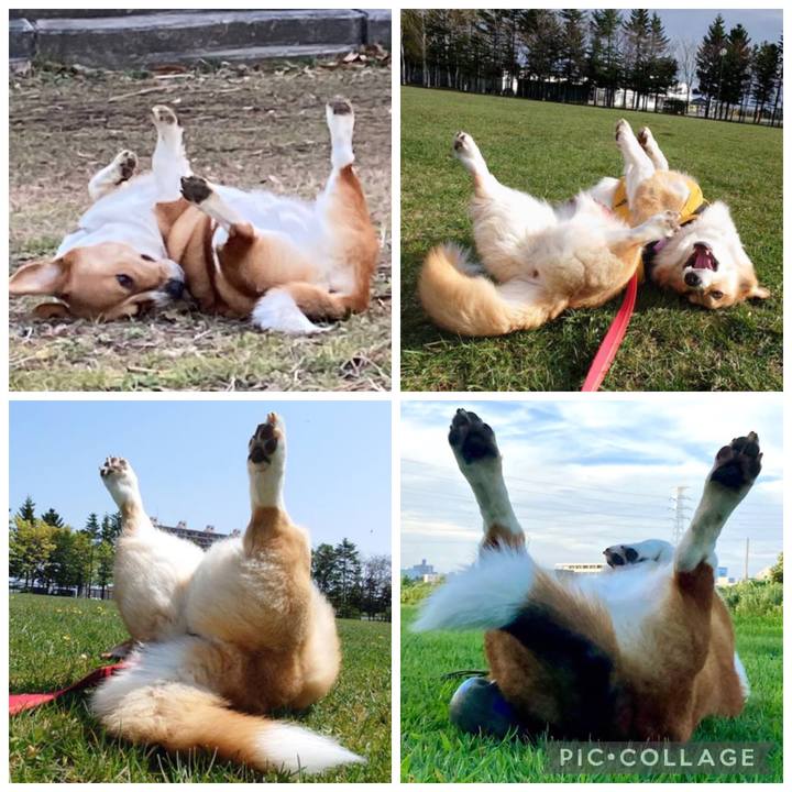 B7642086 a1d0 427d b145 df36687139b5 1684483164534