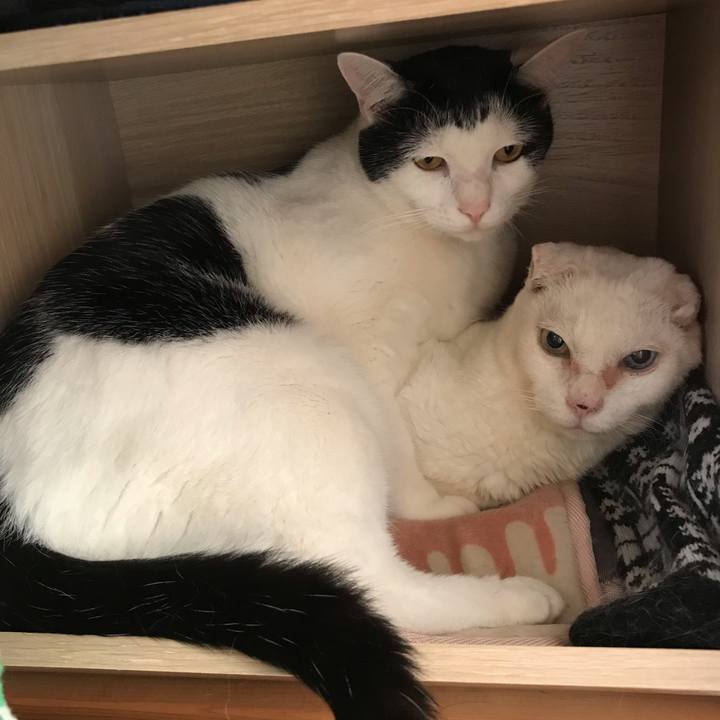 B76422d7 dca9 4ccf 83de 39244c5c0cde 1565144627250