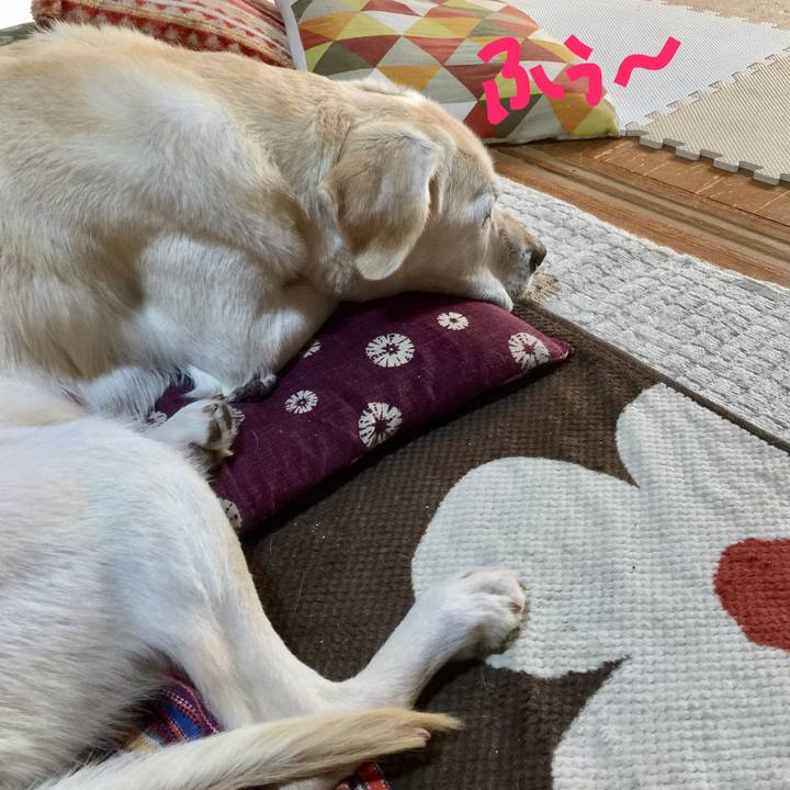 B764371d 3f31 403a b8e7 cccb66fc436a 1520723387412