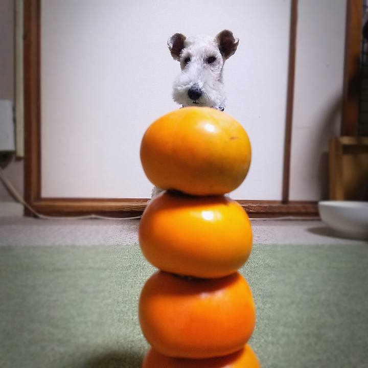 B7645882 c0d7 47f1 a76f d3936db00869 1542805858365