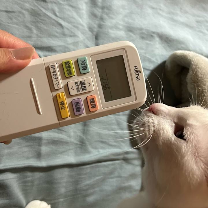 B76458f7 aa16 4f5c b834 aecd7c278f99 1681916226598