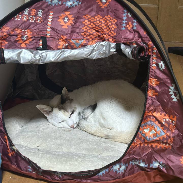 B7647b26 24da 4cf5 a209 8b10c22aad66 1765626450139