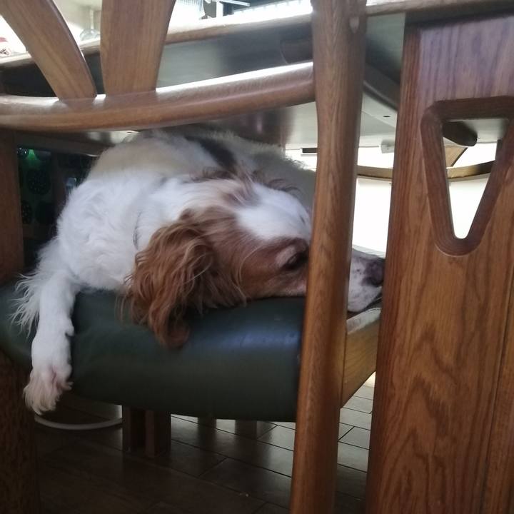 B764c920 d689 47d7 9bfd 6749fba1acbf 1629366171708