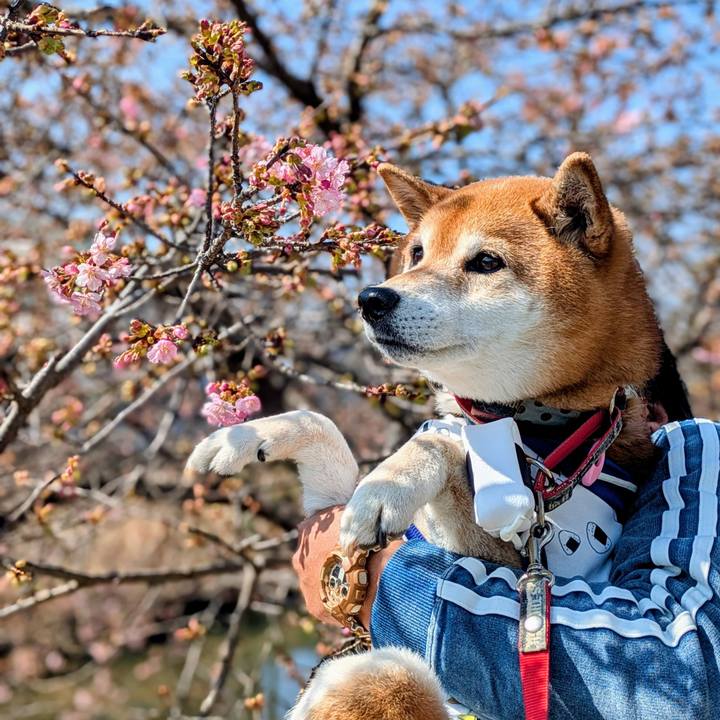 B764d0f5 9acb 4f3f 836a 9442ab6296a5 1771762158606