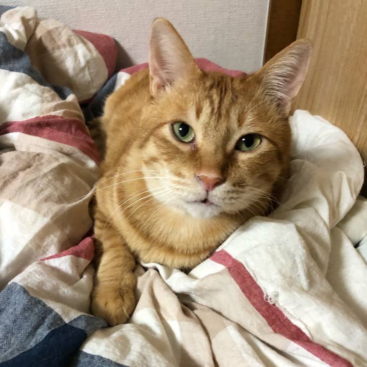 B764ff44 b9ac 49a8 a989 b1e76efa13de 1583183374380