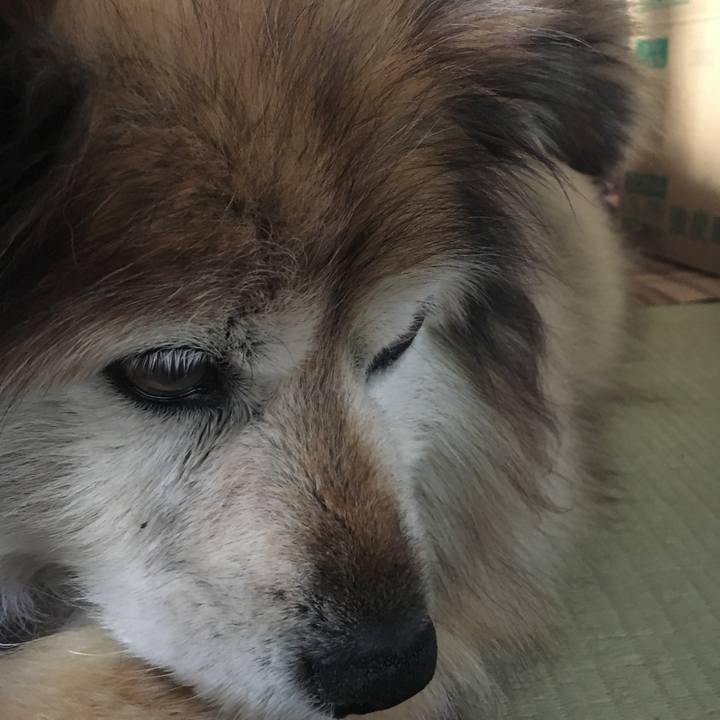 B765182e efd9 4a38 817b b6e2e444aac6 1553749520766