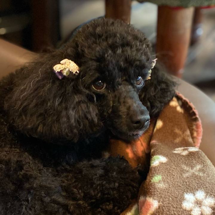 B7652054 96e8 4c55 933f 9b5037ddb687 1620106609453