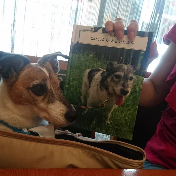 B7653b7f 2d57 43de b053 b2d9e686762d 1628589529550