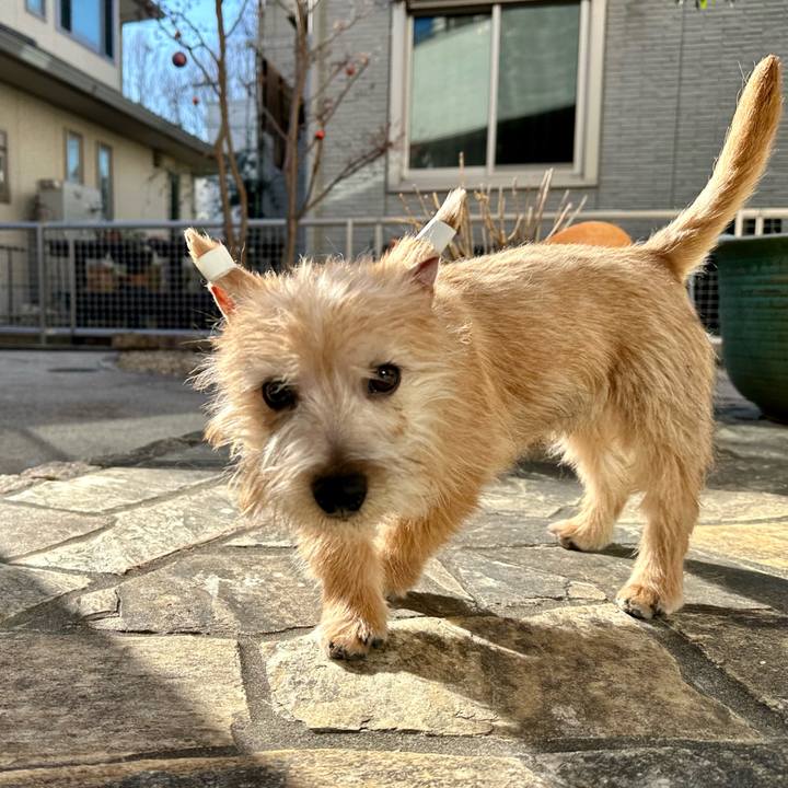 B76569f5 165a 423b 963a a633a1ea4ea1 1705150930317