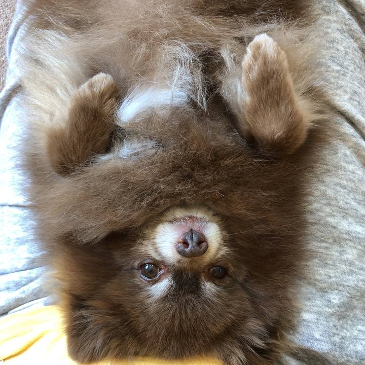 B76578c7 d6b4 4f63 9256 56b187243b11 1624600369816