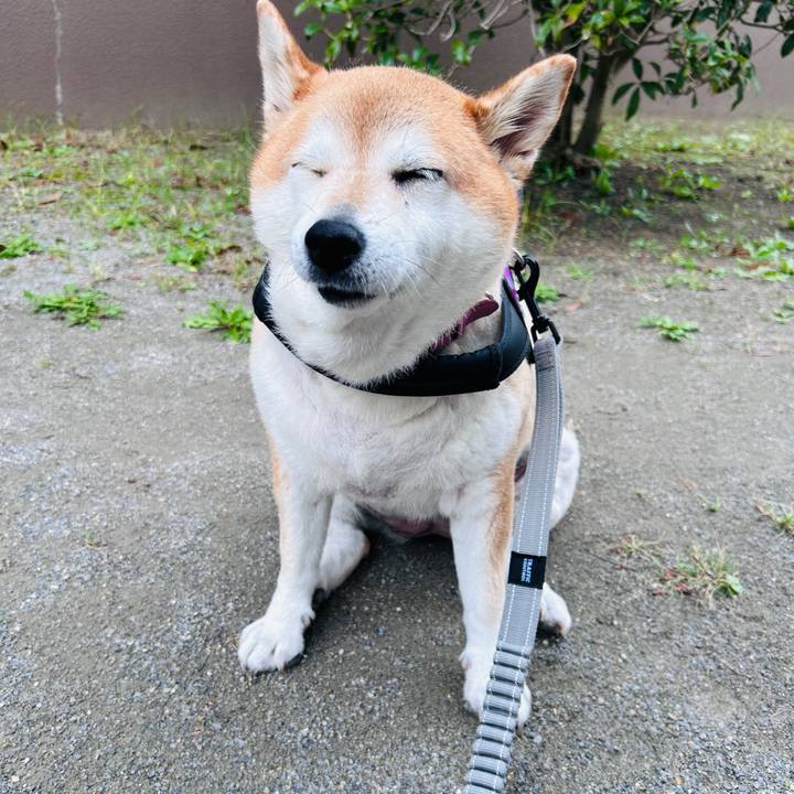 B765c8cc a877 4714 a369 7b1cfd9b4ec9 1728103361109