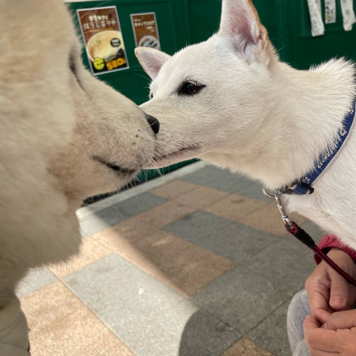 B7661211 58df 4b9c 9b9e da84d54a783e 1697361572350