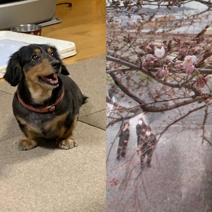 B7662ab6 0b57 4a67 88e4 a96fb05b4128 1585349167989