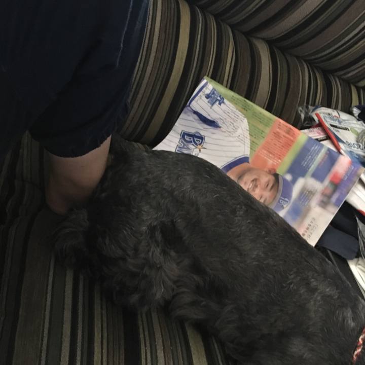 B766334e e9ee 41ba 834e 07bce1bf03ed 1530931159027