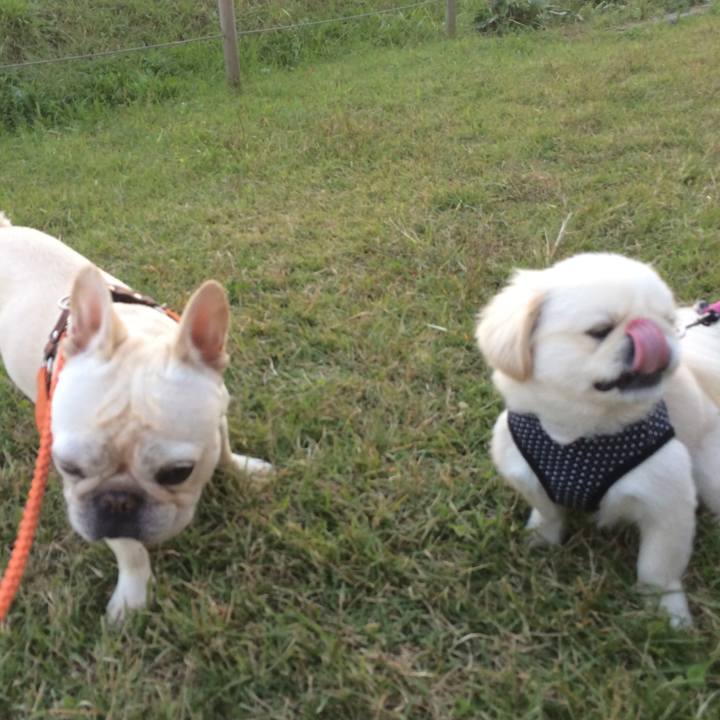 B766546d c08d 472c a78c 735aecc01731 1509673822983