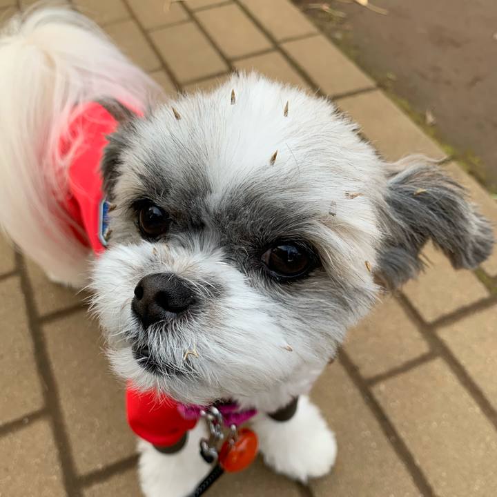 B7665a5c bf8d 4d7d abf3 8dc24680d5ba 1577230572097