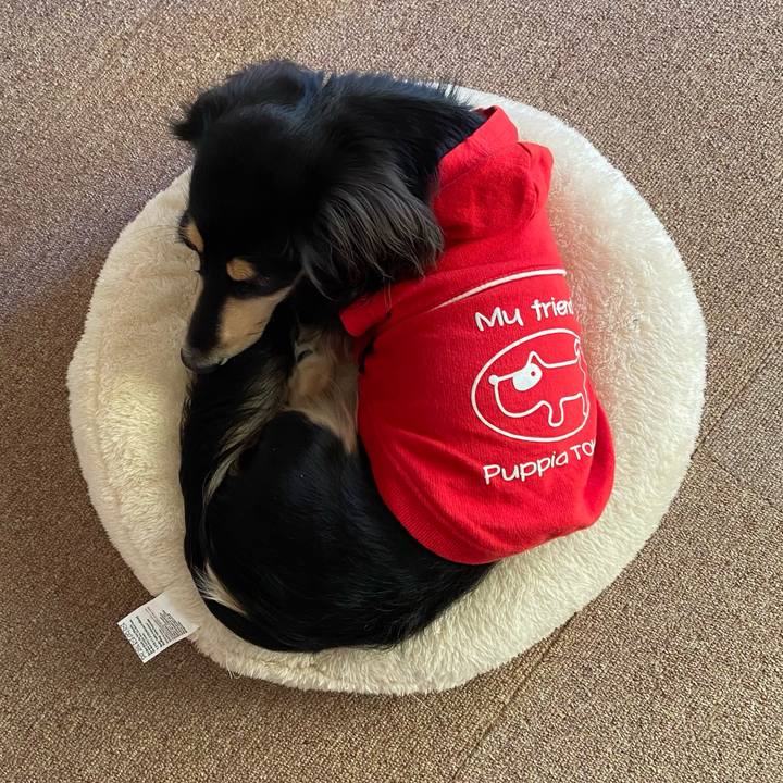 B7669350 7929 445a a06e 0e79cf489d2a 1699855203035