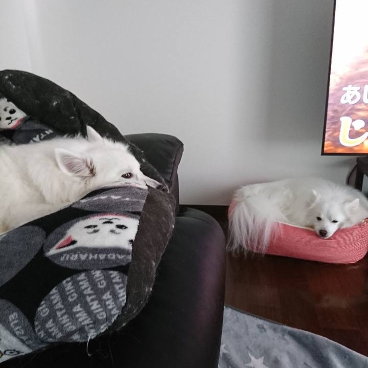 B766abca 8cba 43ca b2d1 8ae4c28cd69d 1611812160608