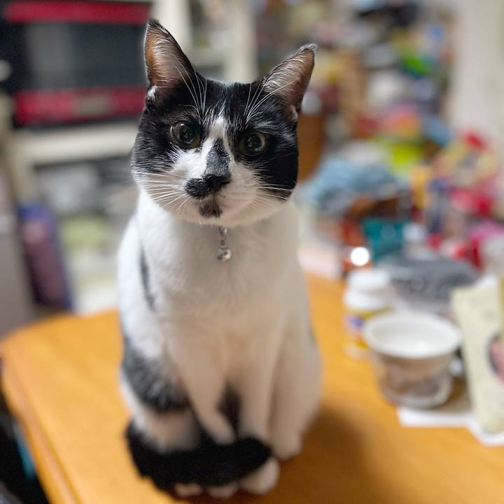 B766b24e 496e 47c2 b861 ace19fb5333d 1767653259211