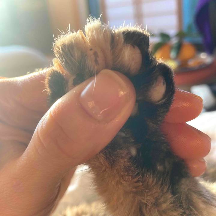 B766f046 2e8d 4176 9ade 6c5f7a9530e3 1674354151979