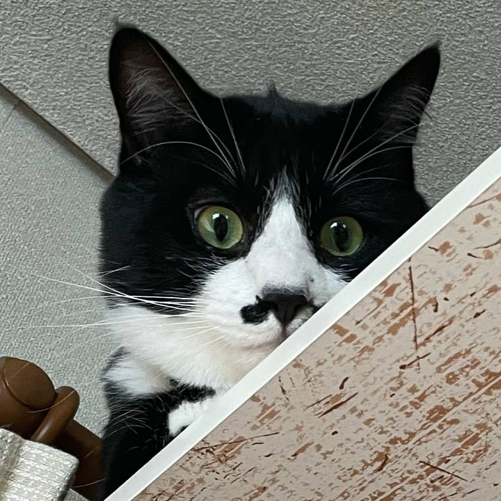 B767126f d979 42f2 a367 c85a5933c251 1653876121909