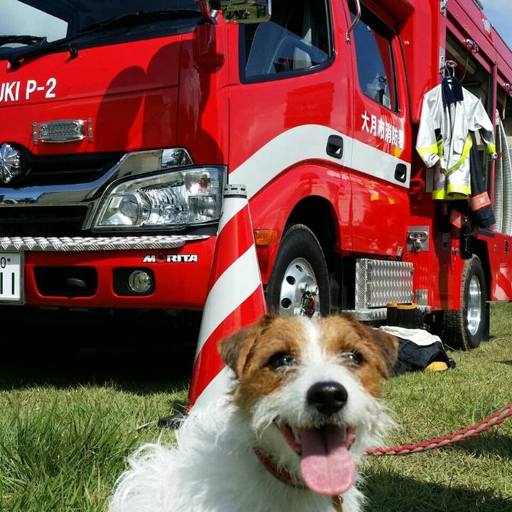 B7673434 8d93 4ce5 84bd 820928b46b19 1537756167191