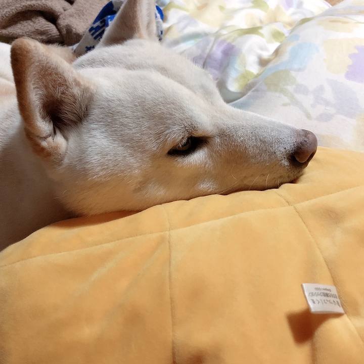 B76746d5 81f1 4727 8037 811b3c760140 1638710978498