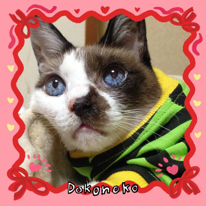 B7675d2e 4e0d 48b5 aaef ad8454e0d790 1706834885629