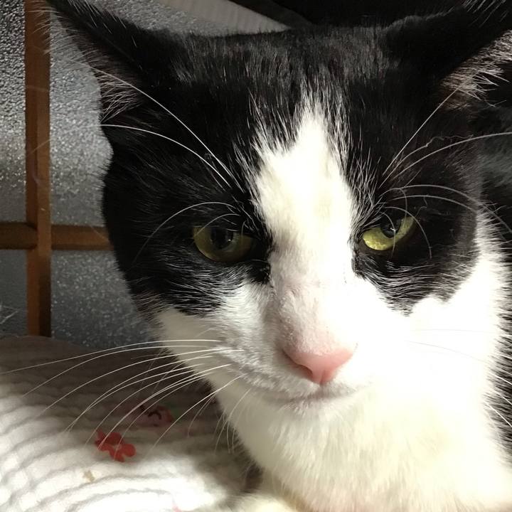 B7677174 acc2 4902 9725 e77867ae4970 1728630751997