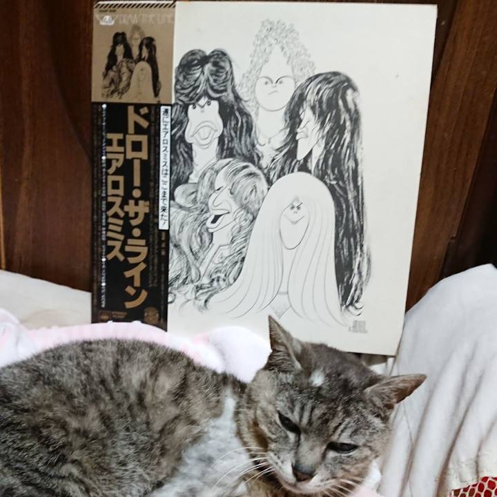 B767b015 e4f4 44f2 93a4 1fb685466793 1591964001687