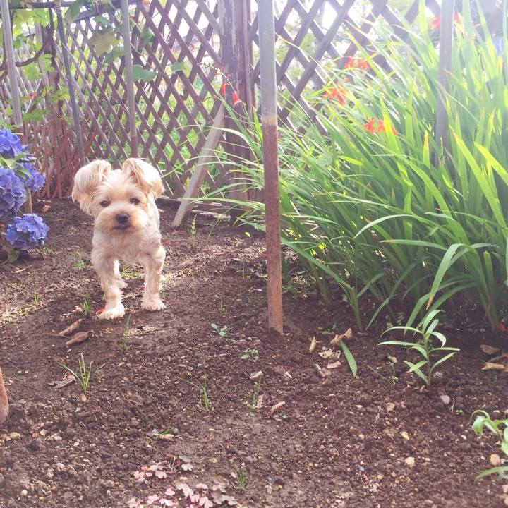 B767ee38 379c 41fe 9c32 d2df90bd0f4e 1534124874177