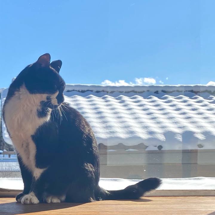 B7681dc7 91fc 4def bd17 dea653ebe4a3 1641342222376