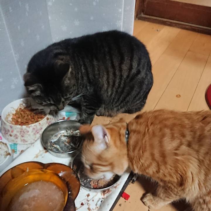 B7684f30 dcc5 4d25 9635 cfca81ed4ebb 1640255807992