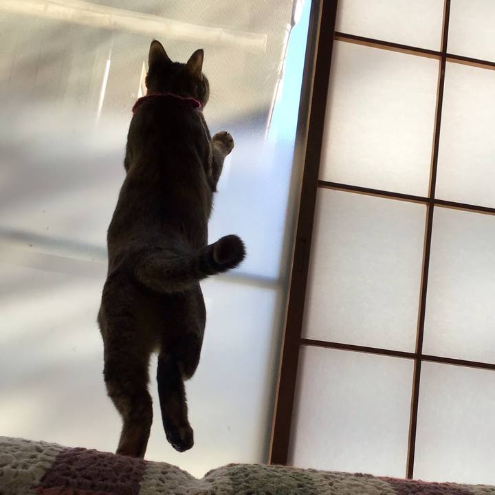 B76889ff 86ae 4a67 b5b1 d0b0c80f9674 1611551406577