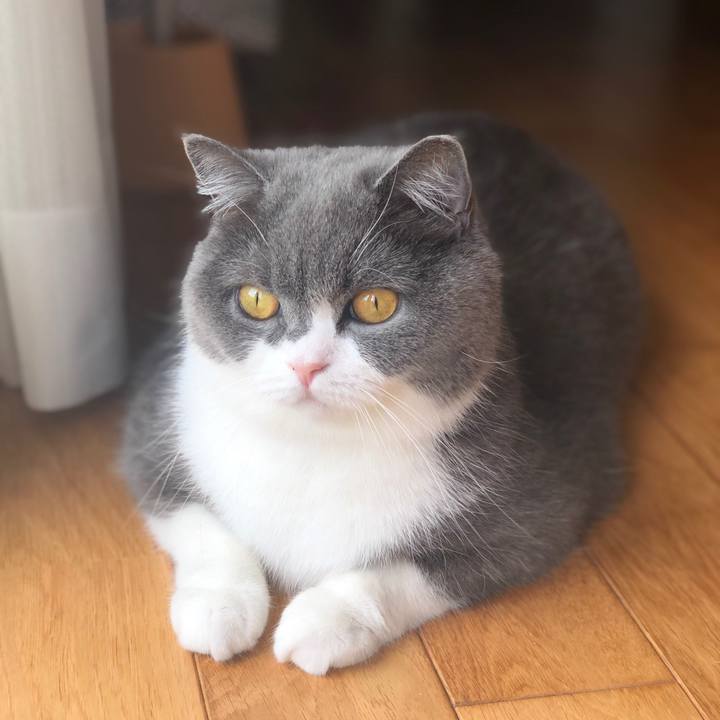 B7689f0f 0f22 4fda b8b0 5836654cd222 1590636657454