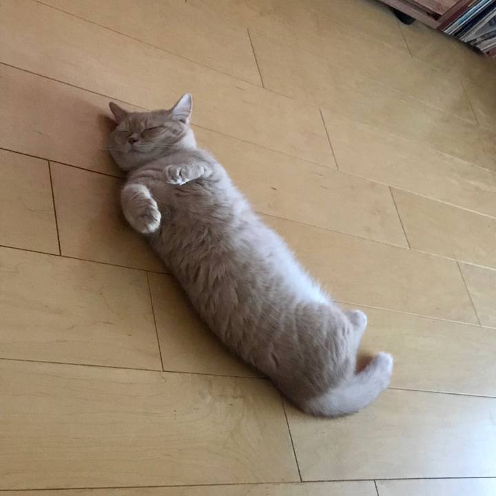 B768a6a0 793d 4194 90ed e6da6b195768 1567421387386