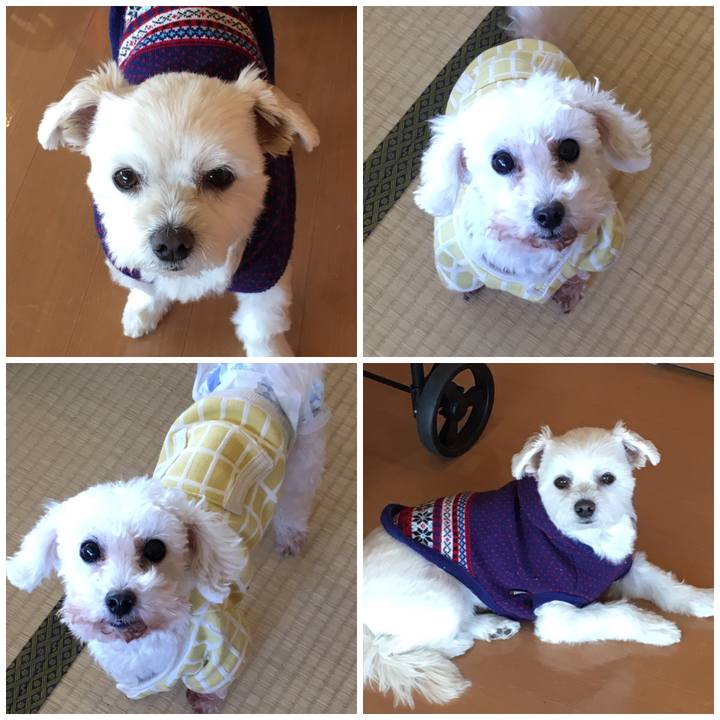 B768cbbb 1eb4 4a78 a357 8afee245de67 1548049372526