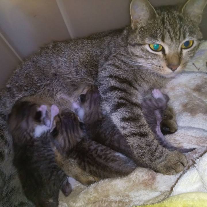 B768e2ef bdfa 465f 8900 2fc274a2e598 1570106218428