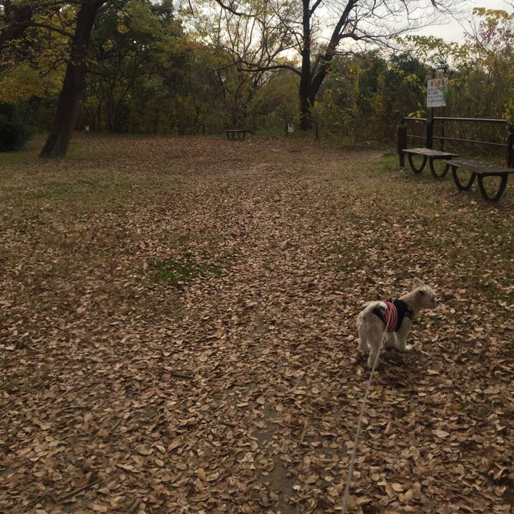 B768e312 0582 48a4 a1ff 9dc84a789a8e 1543314270774