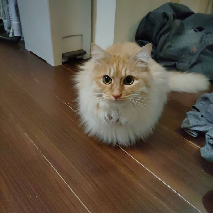 B7690133 3d49 491d 8b65 853e6faf923f 1710113513266