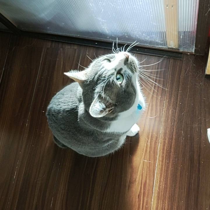 B76959ad b462 4f75 8ae8 3d573ba4820e 1712795075151