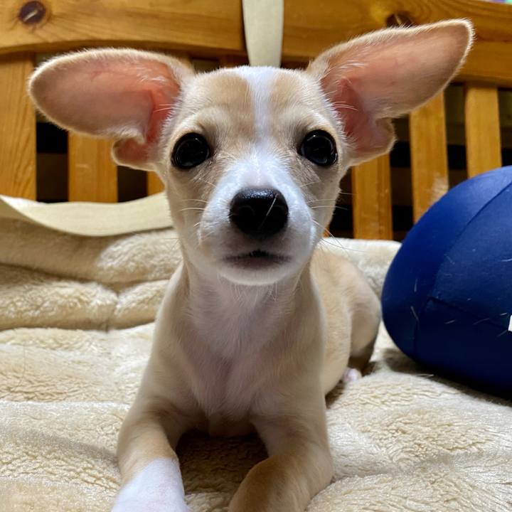 B7698651 739c 46d0 bd7c cc9c1965a47e 1663564882339