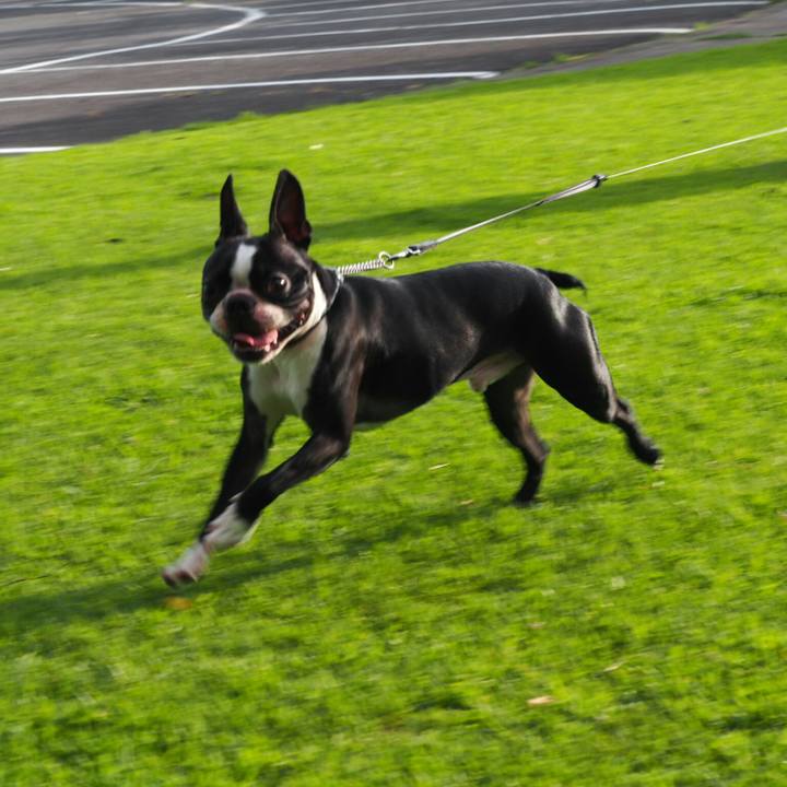 B769b238 1eeb 4648 9fd7 a52c490dd955 1536393485127