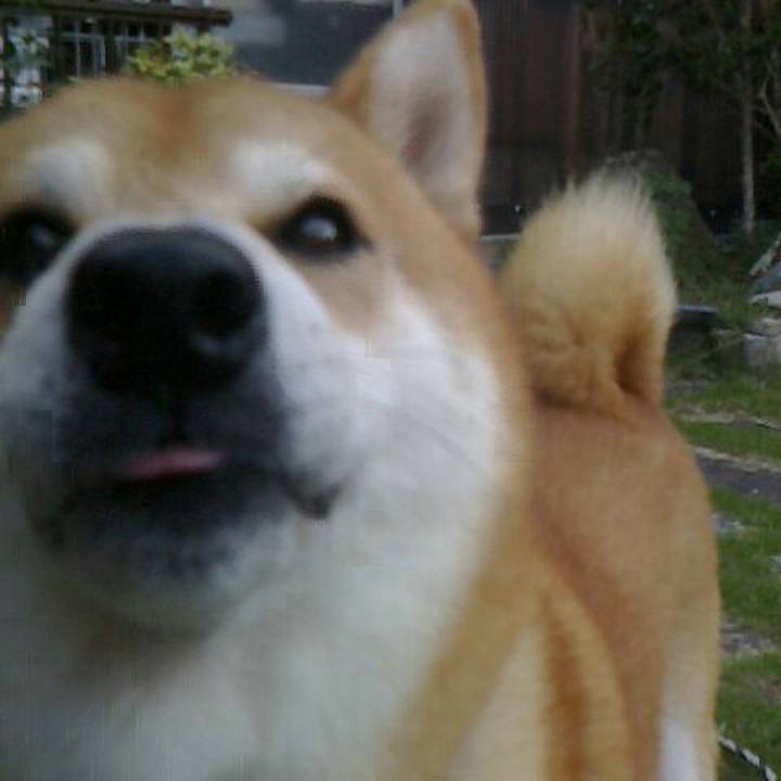 B769cb19 ece3 43d7 ba21 44fee98d697c 1570234427904